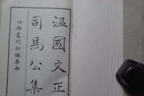 《温国文正公文集》的内容