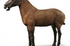 兵马俑出土文物