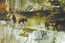 南方丝绸之路的历史介绍