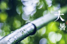 大暑养生该注意什么