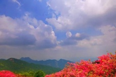 《桃花源记》的思想感情