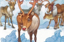 圣诞节最辛苦的一只驯鹿