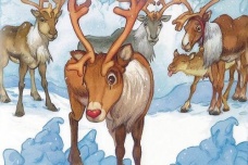 圣诞节最辛苦的一只驯鹿