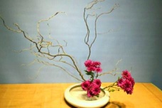 日本花道起源于哪里