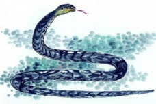 蛇的生肖神话与民俗