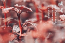 处暑时节的天气特点和农事指南