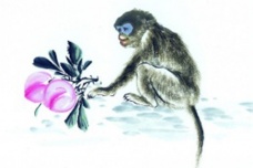 猴的生肖神话与民俗