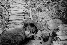 斯坦因生平简介