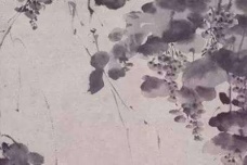 徐渭的后世影响