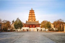 唐朝佛教盛行的原因