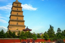 俱舍宗的起源与发展