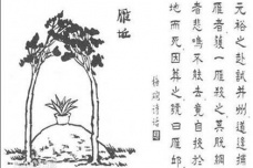 文人对元好问的人物评价