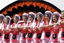 白族的文学有哪些分类