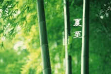 关于夏至时节的诗词