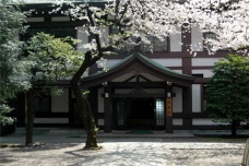 樱花是如何成为日本象征的