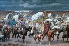 美国西进运动的残忍代价