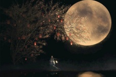 《青玉案·元夕》诗词赏析