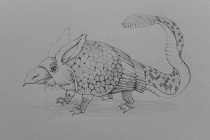 山海经中真实存在的动物犰狳