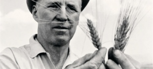 1914年3月25日：诺曼·博洛格出生