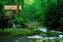 《庄子·杂篇·庚桑楚》原文