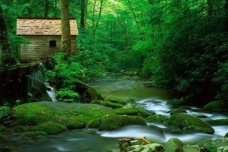 《庄子·杂篇·庚桑楚》原文