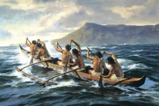 波利尼西亚人是什么人种