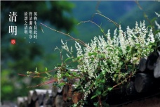 清明节气