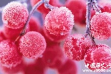 苏轼《南歌子》有哪几首