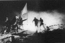 横城反击战胜利真相