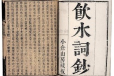 《饮水词》作品简介