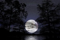 《中秋夜洞庭湖对月歌》赏析