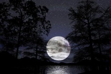 《中秋夜洞庭湖对月歌》赏析