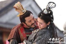 杨坚的嫔妾宣华夫人介绍