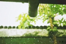 关于芒种的诗词