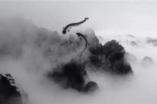 庄子《外物》译文赏析