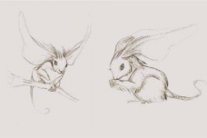 山海经中真实存在的动物耳鼠