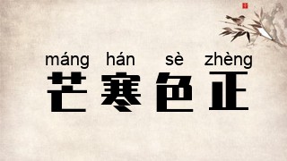 芒寒色正
