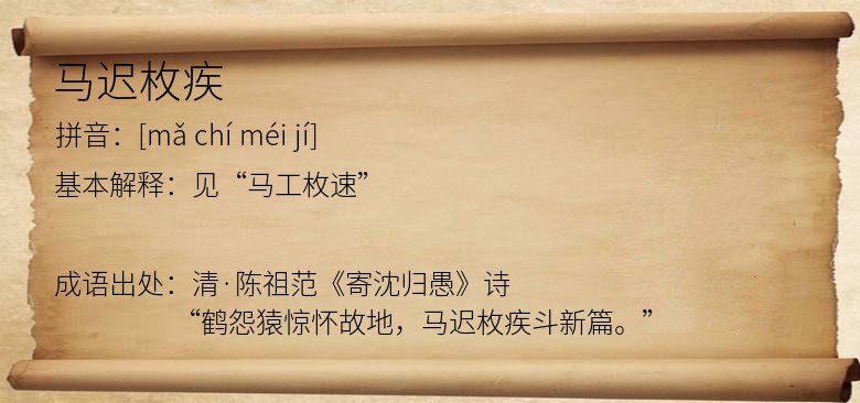 马迟枚疾