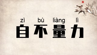 自不量力