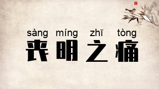 丧明之痛