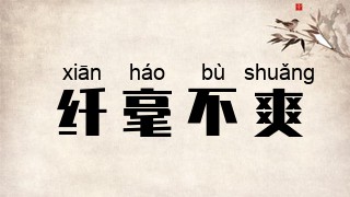 纤毫不爽