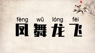 凤舞龙飞