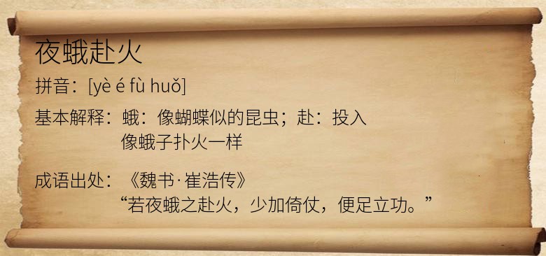 夜蛾赴火