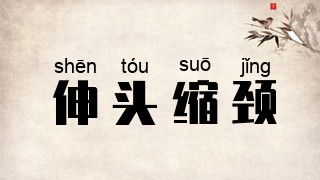 伸头缩颈
