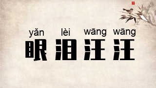 眼泪汪汪