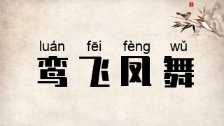 鸾飞凤舞