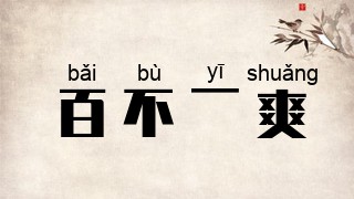 百不一爽