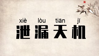 泄漏天机
