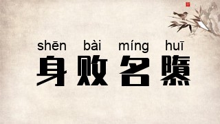身败名隳