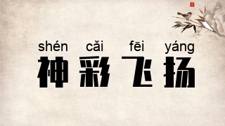 神彩飞扬